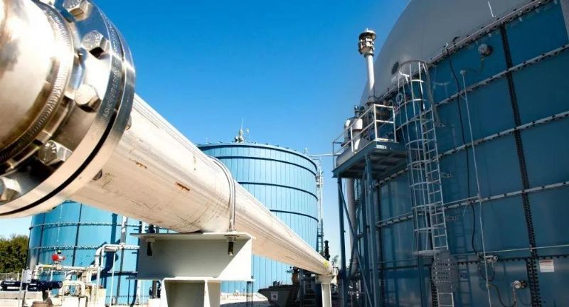 規模化養殖場沼氣發電項目建設的可行性