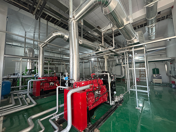 沼氣發電SCR脫銷系統